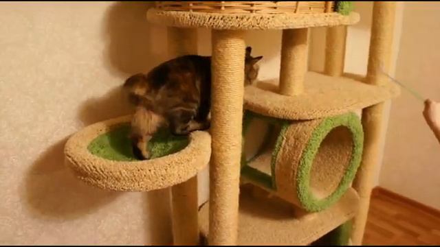 Перси на когтеточке смотреть онлайн