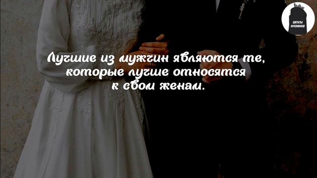 Красивые цитаты о мужа и жены #shorts смотреть онлайн