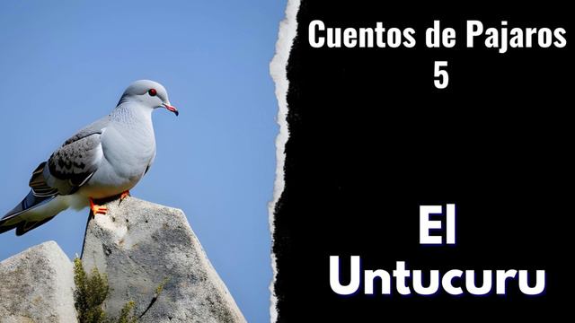 Cuentos de Pajaros 5 | El Untucuru | Cuentos Populares | Antonio Paredes Candia | Bolivia смотреть онлайн