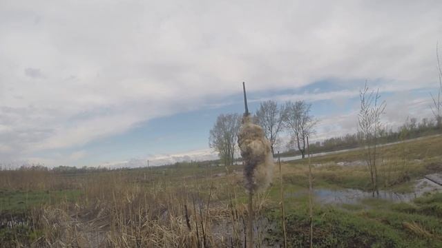 В ЭТОЙ ЛУЖЕ ПОЛНО КАРАСЯ.ТЕСТ ПРИКОРМКИ НА КАРАСЯ ОТ СНАСТИ ЗДРАСТИ.14.05.2021 смотреть онлайн