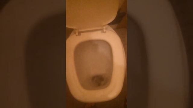 ФЕЕРИЧНОЕ СМЫВАНИЕ КАКАШКИ смотреть онлайн