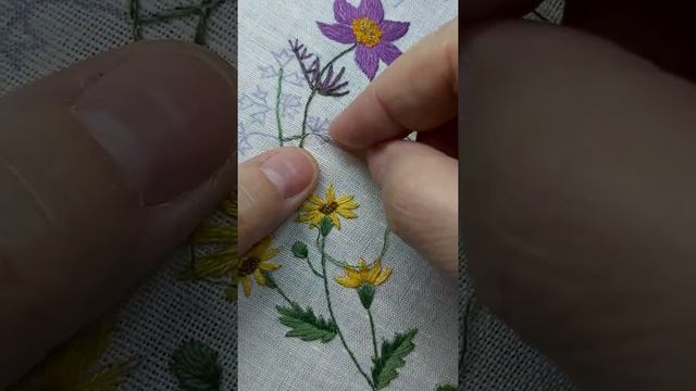 сон трава, часть 6, стебель и листья смотреть онлайн