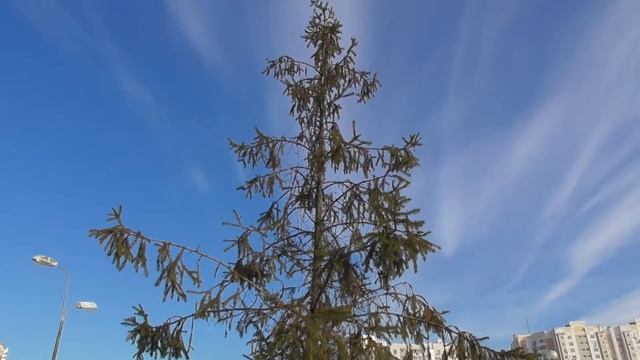 Парк имени Артёма Боровика в Марьино февраль 2021 смотреть онлайн