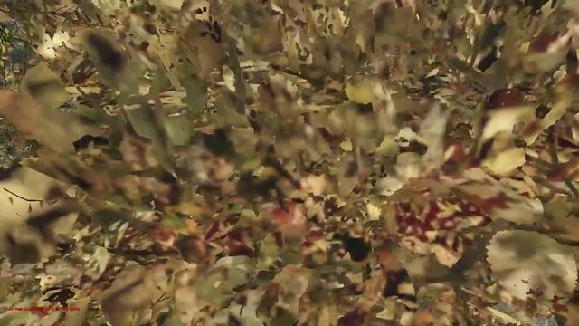 INTENSE COASTAL PvP! [ENG] DayZ standalone live stream смотреть онлайн