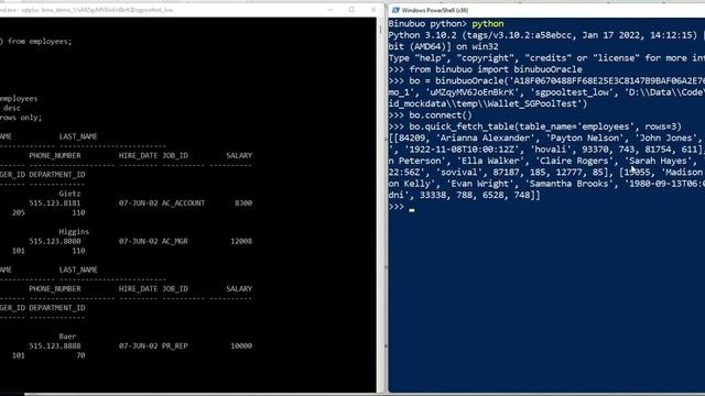 Binubuo Python Client - Quick Fetch and Oracle смотреть онлайн