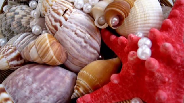 Лучшие русские романсы Я ЕХАЛА ДОМОЙ - Наталия Муравьева Романсы под гитару Фото Ракушки смотреть онлайн