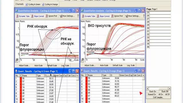 Молекулярные методы лабораторной диагностики. Часть3.mp4