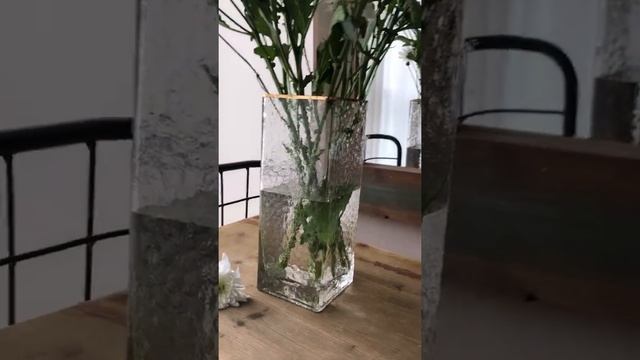 Ваза 25 см из зелёного прозрачного стекла с золотым кантом от HOME decor collection смотреть онлайн