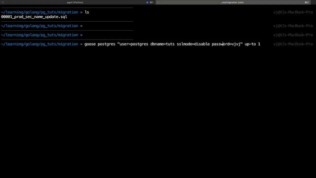 GO-PG 12: Migrations смотреть онлайн