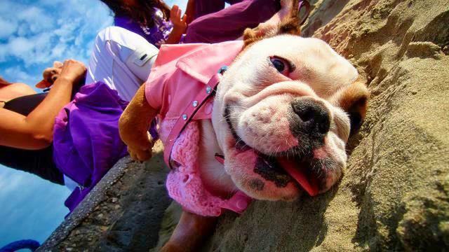 Русская поп музыка. Просто хит! Люблю!