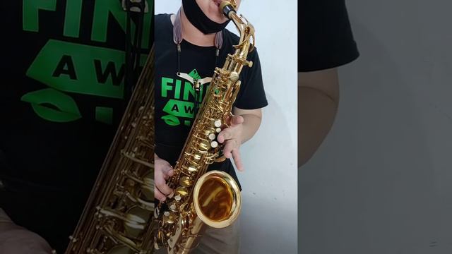 Test demo alto saxophone Roy Benson AS-202 смотреть онлайн
