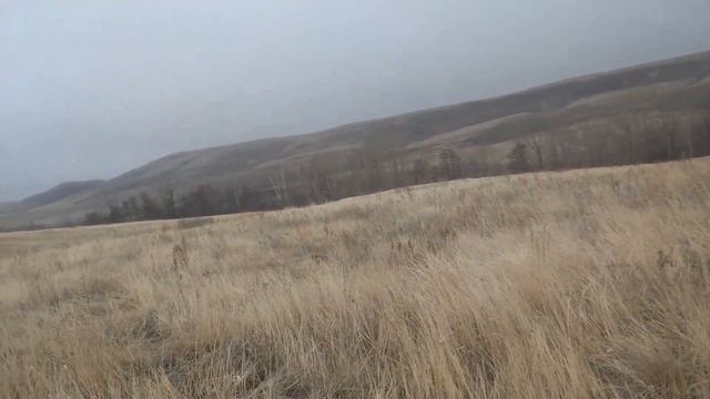 Поиск монет в Оренбуржье смотреть онлайн