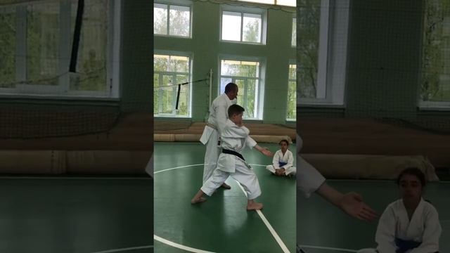 Семинар по ката Сетокан Латкина А.И (5 дан,JKA). смотреть онлайн
