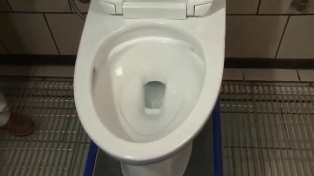 ✅Best Toto Toilets 2022-2023 | Top 6 Best Toto Toilets Reviews in 2022-2023 | Toto Toilets 2022-202 смотреть онлайн