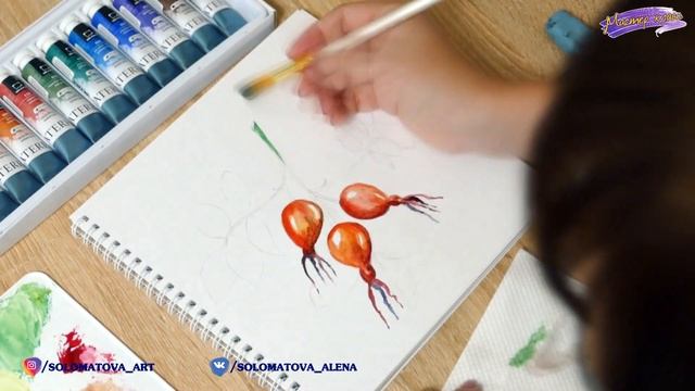 Шиповник. Рисование акварелью. Watercolor Painting. смотреть онлайн