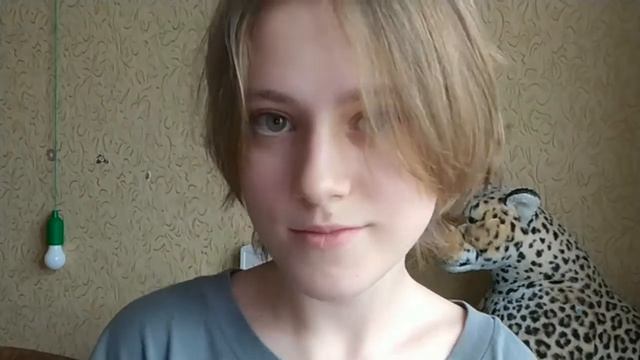 Что нужно для приобретения хомяка/Я завела себе сирийского хомячка/Обзор/