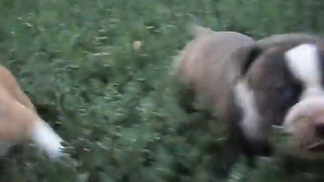 Дакота и Деми Мур-1мес. смотреть онлайн