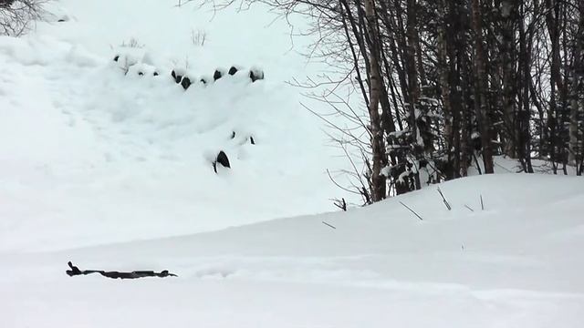 Тесты трассы сноукаякинга 25 февраля смотреть онлайн