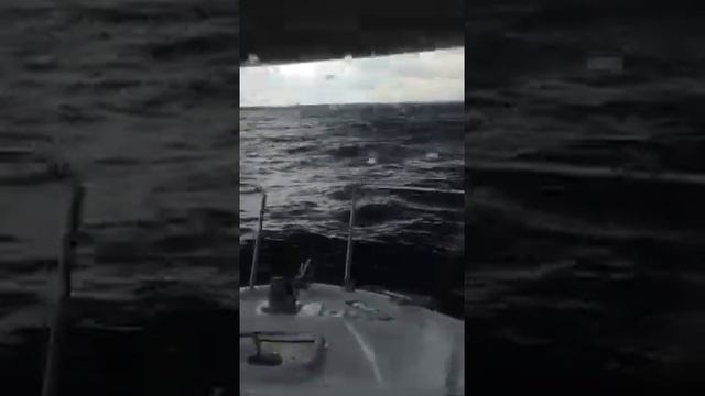 Волна на Волге смотреть онлайн