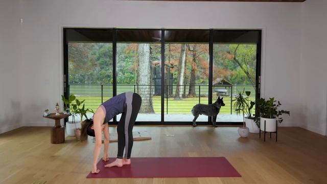 Dedicate - Day 12 - Curate смотреть онлайн