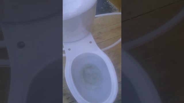 Комфортный туалет свежий воздух в летнюю жару на Урале...