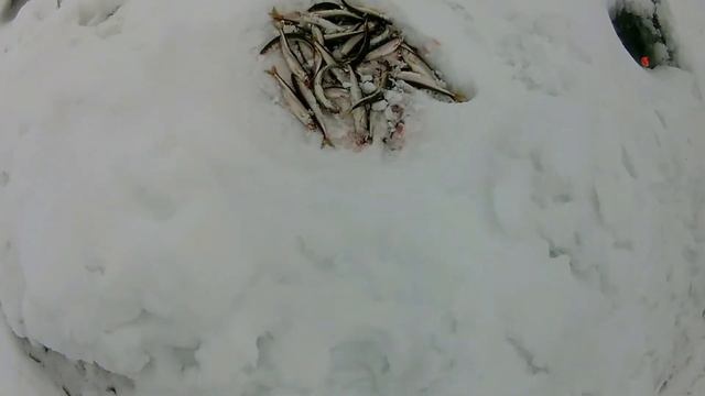 Рыбалка на корюшку после 15: 00 ч. Чныррах смотреть онлайн