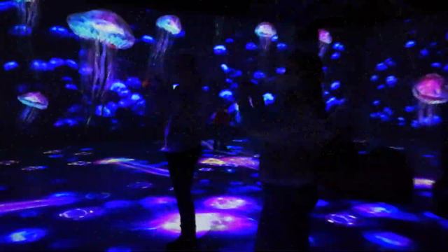 Океан, Космос и Осознанные сны. #астрокафе январь смотреть онлайн