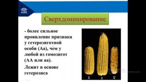 Взаимодействие генов