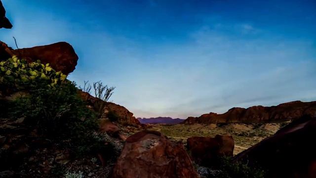 Когда сгустились краски. Псалмы Натальи Шевченко.