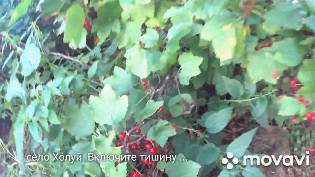 300. Включите тишину (с. Хо́луй) смотреть онлайн