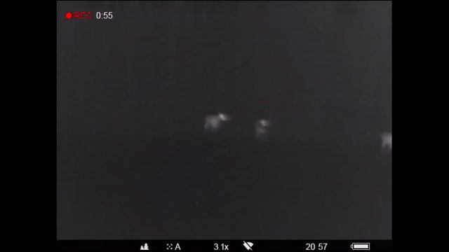 Pulsar Helion XQ38F - Red Deer смотреть онлайн