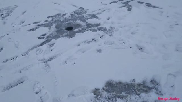 зимняя рыбалка. 2 часть. ч1ерам ца гир сон циг)) кливать ям йор. смотреть онлайн