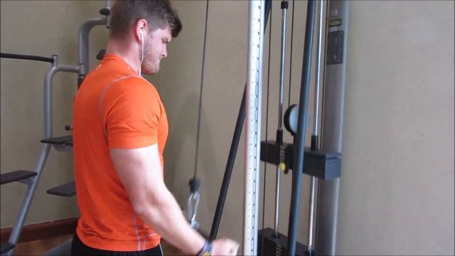 Summer Lifting - Bi's and Tri's Ep 2 смотреть онлайн