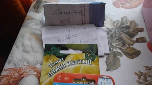 Посев томатов в марте на рассаду. Когда высевать семена томатов на рассаду. смотреть онлайн