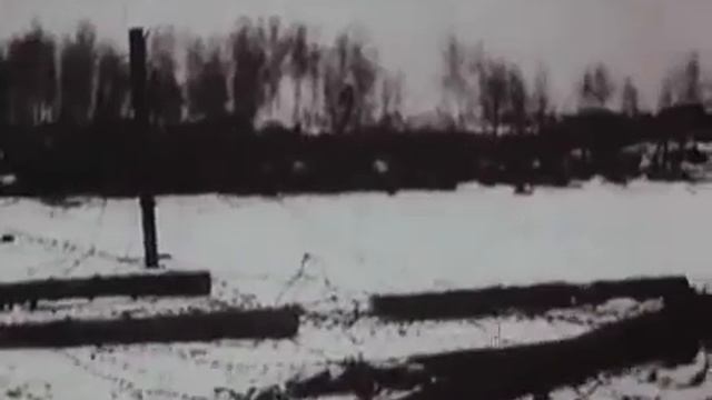 Голышмановский район смотреть онлайн