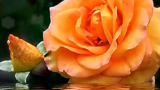 Поздравление для самой лучшей мамы на свете! смотреть онлайн