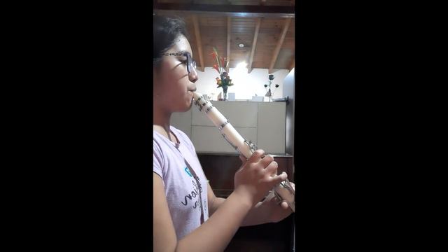 2do Concierto Cátedra Clarinete noviembre 2020 смотреть онлайн