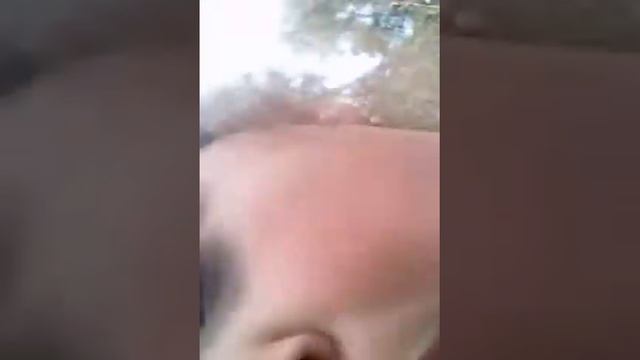 Пророчество 2020 года смотреть онлайн