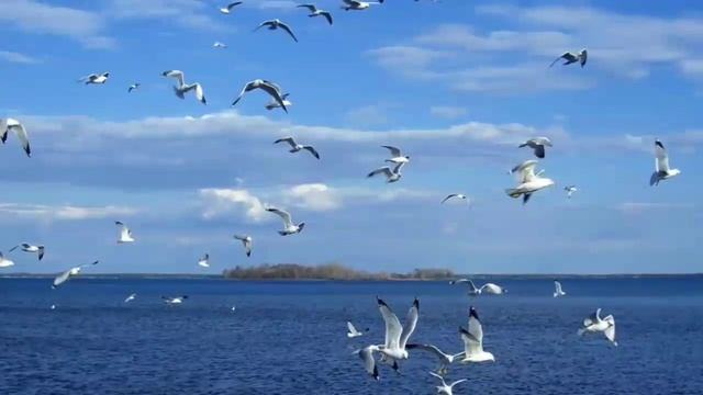 Медитация на ранний подъем смотреть онлайн