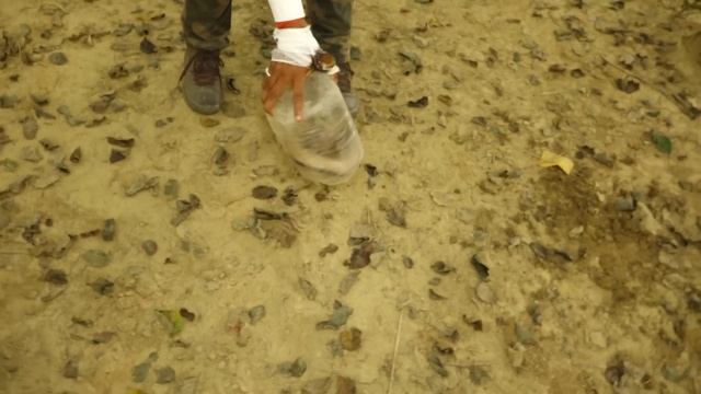 Murliwale Hausla is Back यही कोबरा सांप ने डसा था, 22 साल पुराना कोबरा जंगल में आजाद कर दिया गया। смотреть онлайн