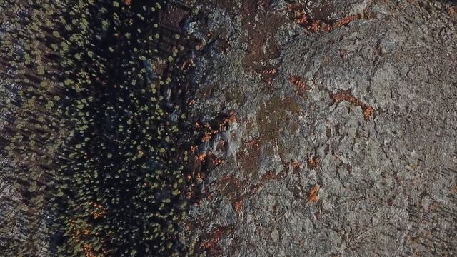 Полёты над морем смотреть онлайн
