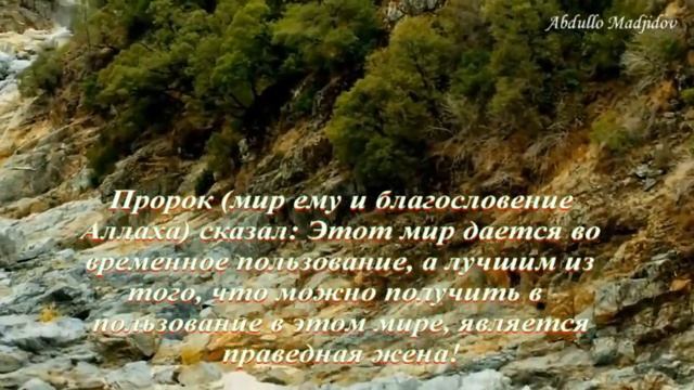 Выбор правильной жены! С точки зрения ислама! 2018 смотреть онлайн