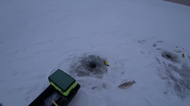 Рыбалка на берша. Началась метель. #тюлька #берш #пурга