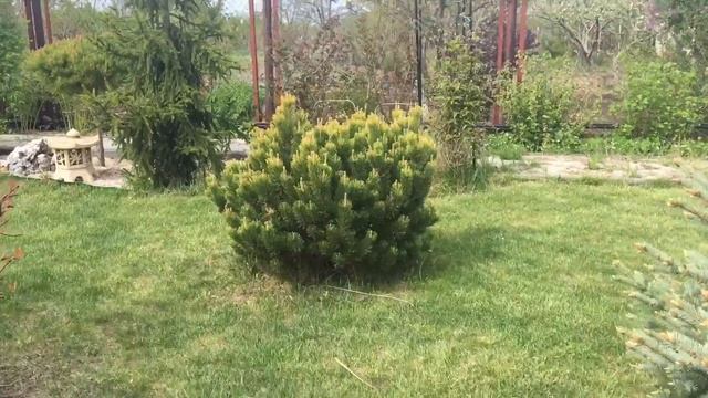 Моя дача/Весна/1 Мая смотреть онлайн