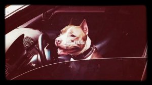 Metro Pro - Зарики