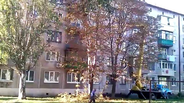 лес рубят, щепки летят смотреть онлайн