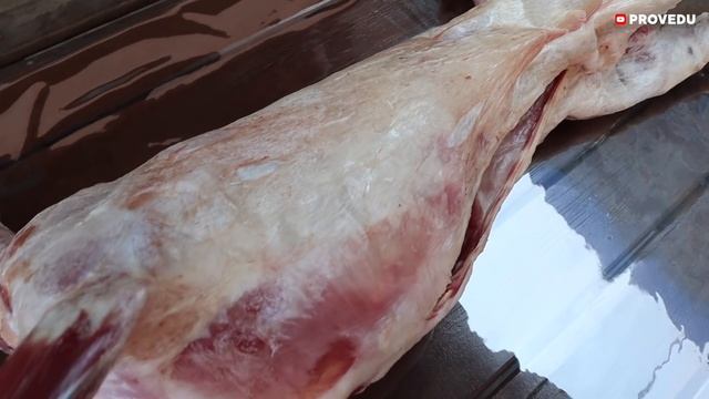 Узбекистан: Грандиозные шашлыки и Самса - сочнее только сок! Бонусы от Bukhara Grand 2021 Provedu. смотреть онлайн