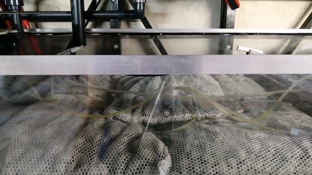 Пеностекло, биофильтрация аквариумной воды смотреть онлайн