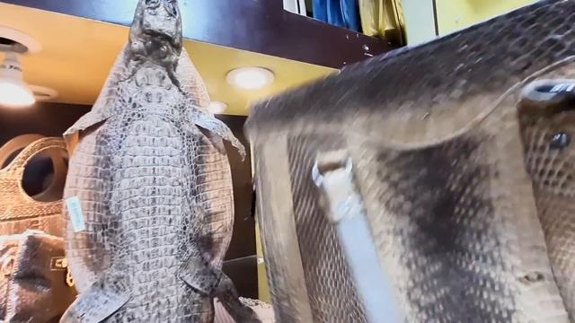 ВЛОГ?? ЧТО ПРИВЕЗТИ ИЗ ЕГИПТА? СУВЕНИРНЫ? ЛЕКАРСТВА, АПТЕКИ? MANGO MARKET ШАРМ-ЭЛЬ-ШЕЙХ смотреть онлайн