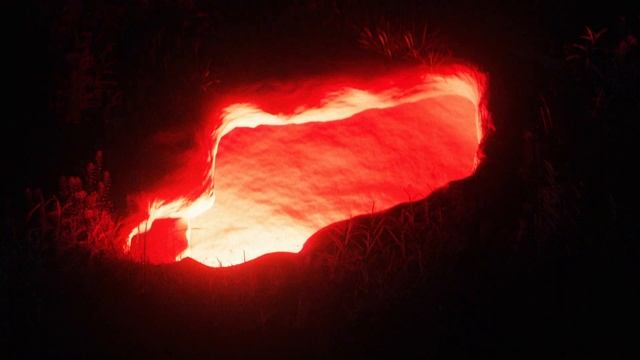 Procedural Vines made with Geometry Nodes смотреть онлайн